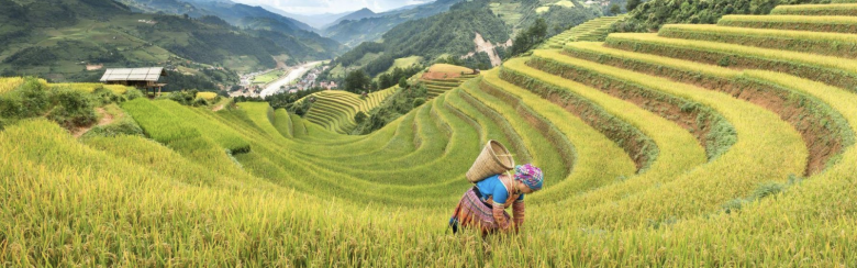 ARP Best Practices for Mainstreaming Gender in Climate Finance